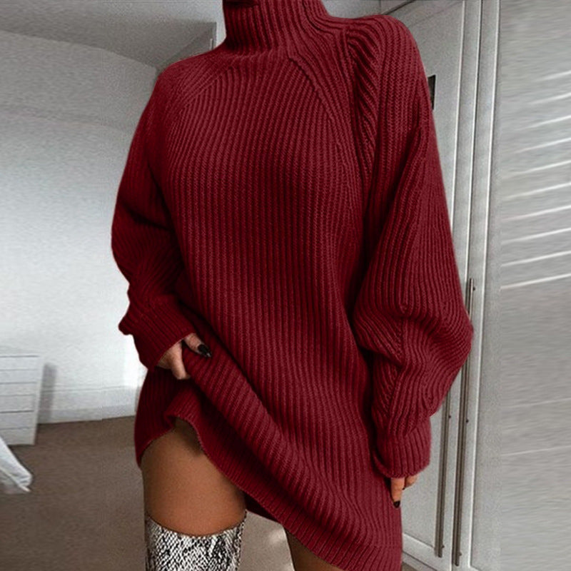 Cozy Turtleneck Winter Sweater Dress