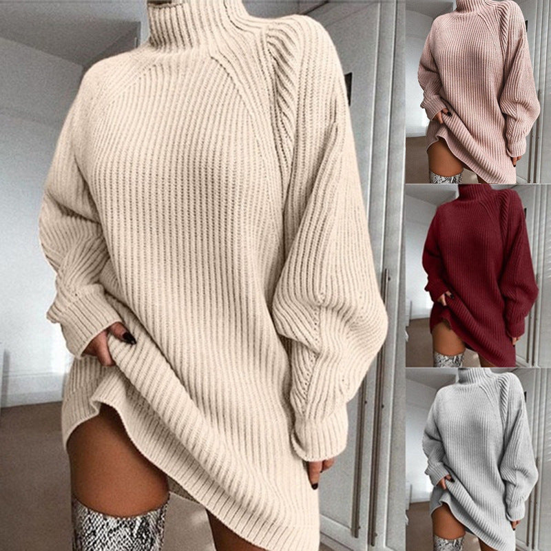 Cozy Turtleneck Winter Sweater Dress